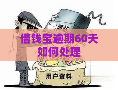 借钱宝逾期60天如何处理