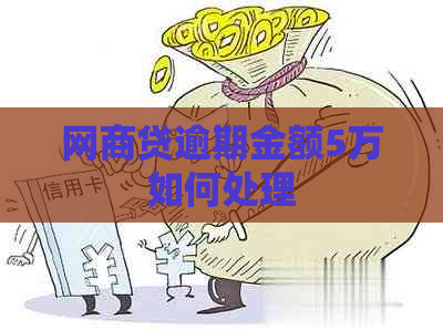 网商贷逾期金额5万如何处理