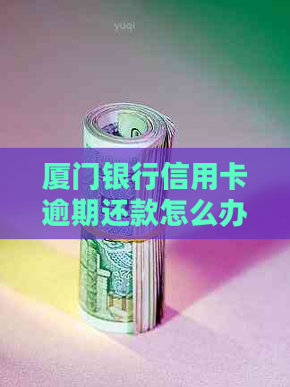 厦门银行信用卡逾期还款怎么办