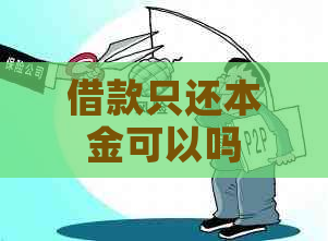 借款只还本金可以吗