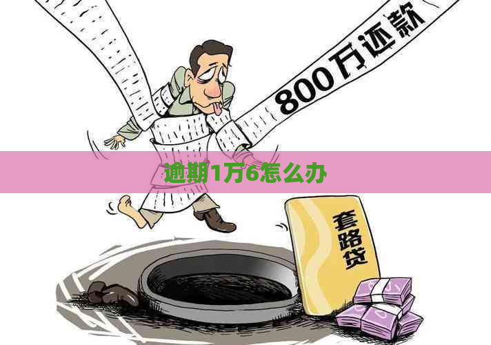 逾期1万6怎么办