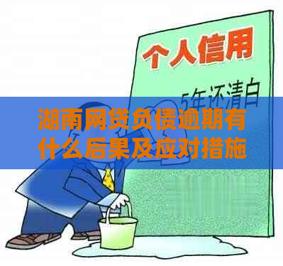 湖南网贷负债逾期有什么后果及应对措施