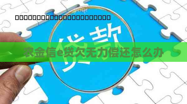 农金信e贷欠无力偿还怎么办