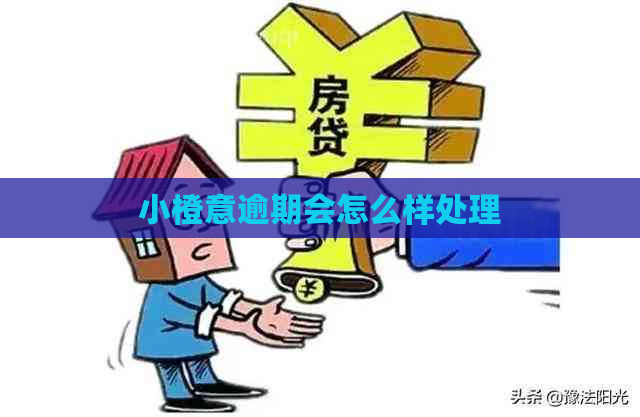 小橙意逾期会怎么样处理