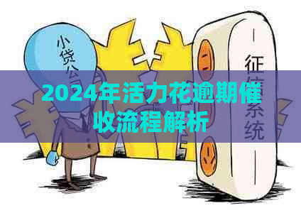 2024年活力花逾期流程解析