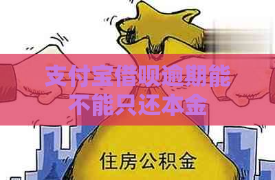 支付宝借呗逾期能不能只还本金