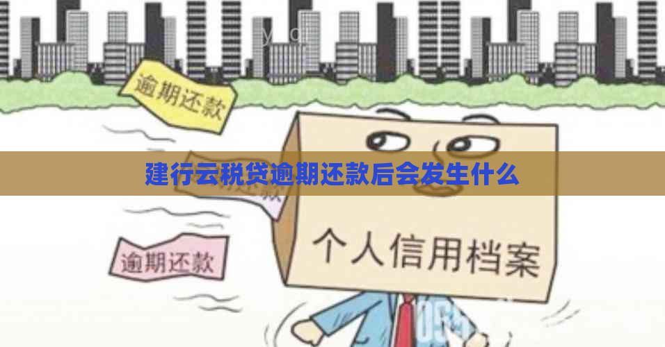 建行云税贷逾期还款后会发生什么