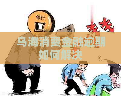 乌海消费金融逾期如何解决