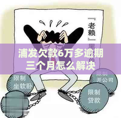 浦发欠款6万多逾期三个月怎么解决