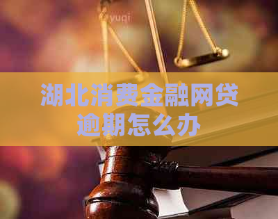 湖北消费金融网贷逾期怎么办