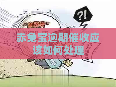 赤兔宝逾期应该如何处理