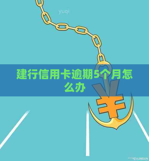 建行信用卡逾期5个月怎么办