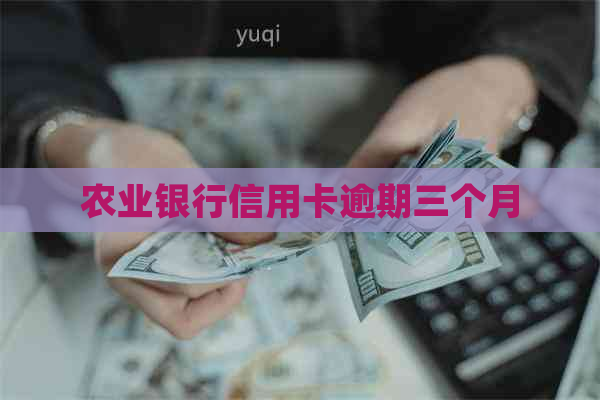 农业银行信用卡逾期三个月