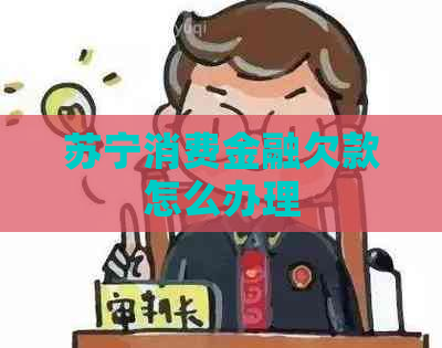 苏宁消费金融欠款怎么办理