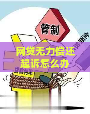 网贷无力偿还起诉怎么办