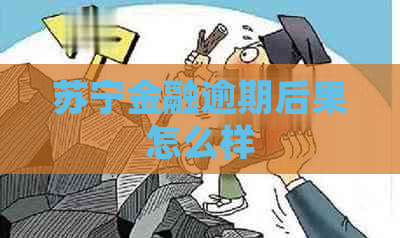 苏宁金融逾期后果怎么样