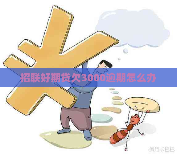 招联好期贷欠3000逾期怎么办