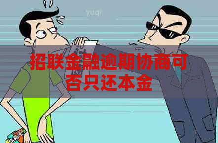 招联金融逾期协商可否只还本金