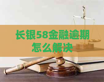 长银58金融逾期怎么解决