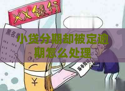 小贷分期却被定逾期怎么处理