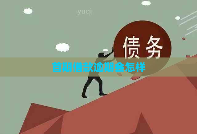 首期借款逾期会怎样