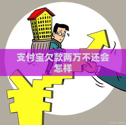 支付宝欠款两万不还会怎样