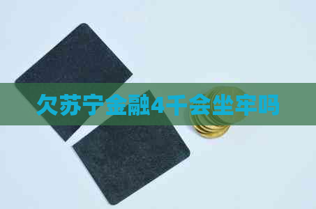 欠苏宁金融4千会坐牢吗