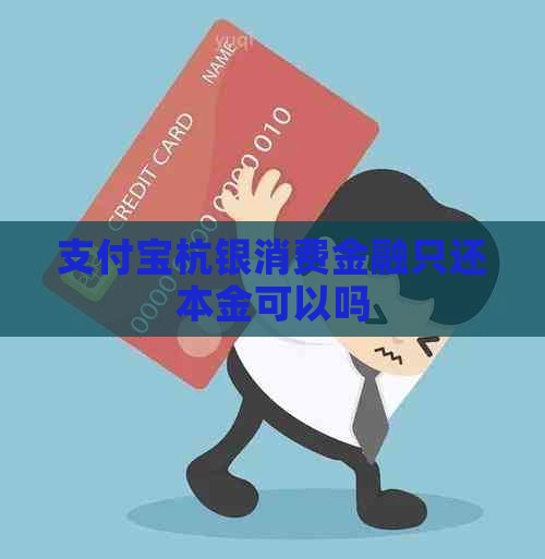 支付宝杭银消费金融只还本金可以吗