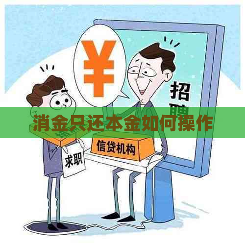 消金只还本金如何操作