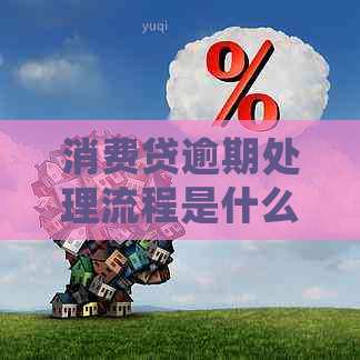 消费贷逾期处理流程是什么