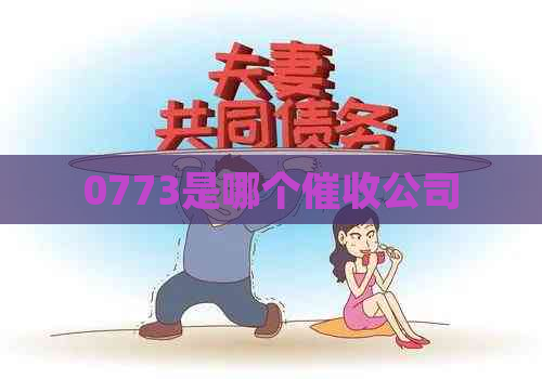 0773是哪个公司