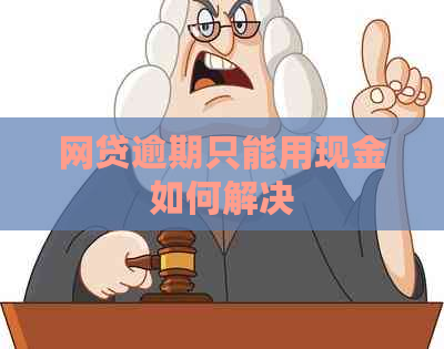 网贷逾期只能用现金如何解决