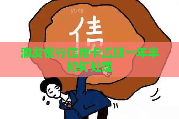 浦发银行信用卡逾期一年半如何处理