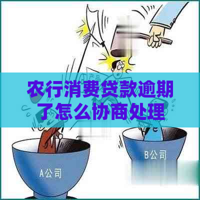 农行消费贷款逾期了怎么协商处理