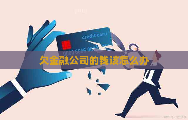 欠金融公司的钱该怎么办