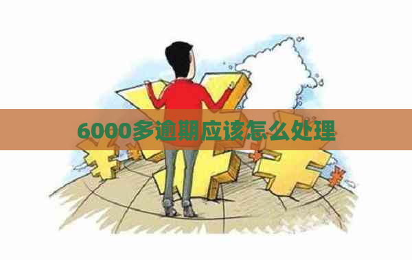 6000多逾期应该怎么处理