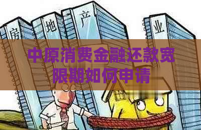 中原消费金融还款宽限期如何申请