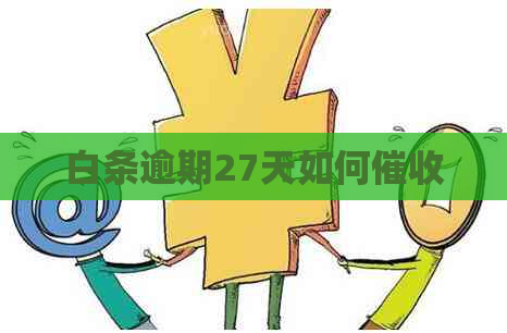 白条逾期27天如何