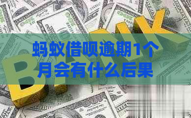 蚂蚁借呗逾期1个月会有什么后果