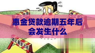 惠金贷款逾期五年后会发生什么