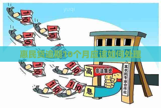 惠民贷逾期10个月应该如何处理