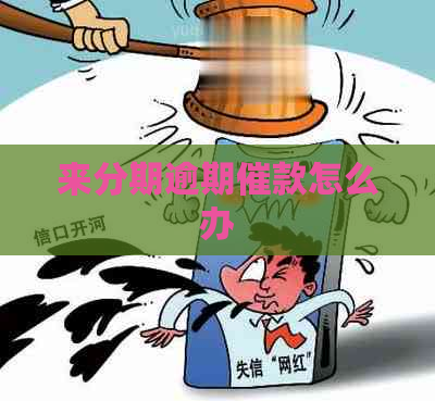 来分期逾期催款怎么办