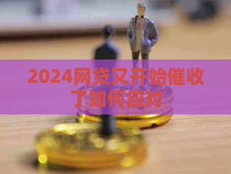 2024网贷又开始了如何应对