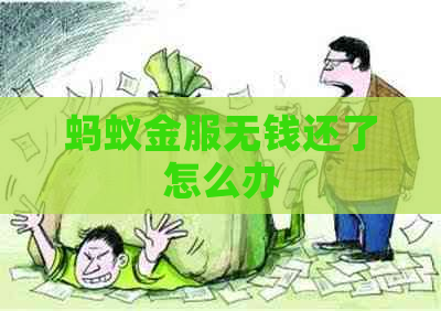 蚂蚁金服无钱还了怎么办