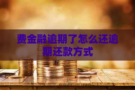 费金融逾期了怎么还逾期还款方式