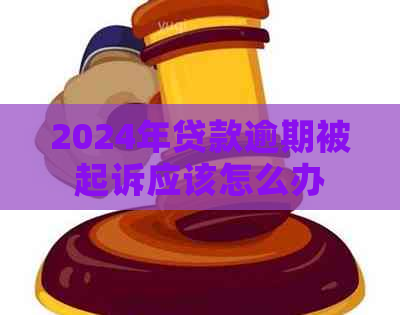 2024年贷款逾期被起诉应该怎么办