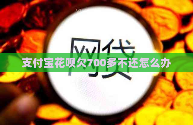 支付宝花呗欠700多不还怎么办