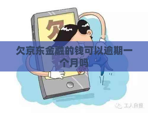 欠京东金融的钱可以逾期一个月吗