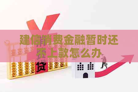 建信消费金融暂时还不上款怎么办