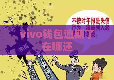 vivo钱包逾期了在哪还